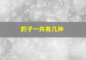 豹子一共有几种