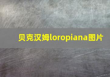 贝克汉姆loropiana图片