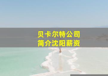 贝卡尔特公司简介沈阳薪资