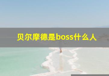 贝尔摩德是boss什么人