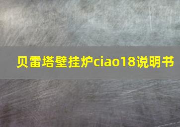 贝雷塔壁挂炉ciao18说明书