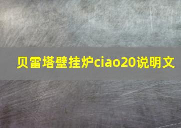 贝雷塔壁挂炉ciao20说明文