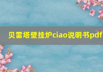 贝雷塔壁挂炉ciao说明书pdf