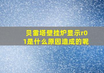 贝雷塔壁挂炉显示r01是什么原因造成的呢