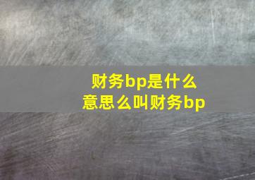 财务bp是什么意思么叫财务bp