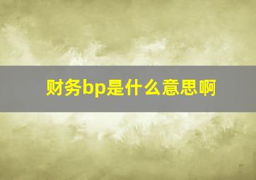 财务bp是什么意思啊