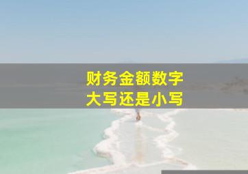 财务金额数字大写还是小写