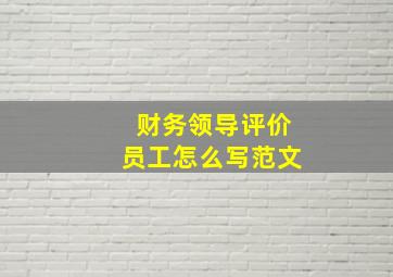 财务领导评价员工怎么写范文