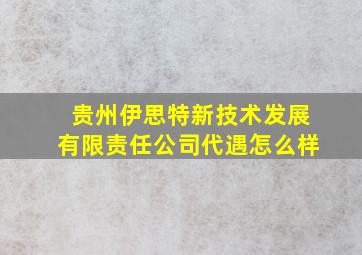 贵州伊思特新技术发展有限责任公司代遇怎么样