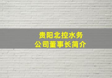 贵阳北控水务公司董事长简介