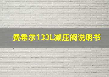 费希尔133L减压阀说明书