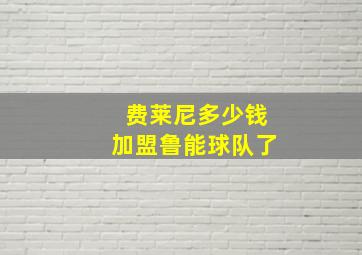 费莱尼多少钱加盟鲁能球队了