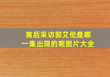 赛后采访郭艾伦是哪一集出现的呢图片大全