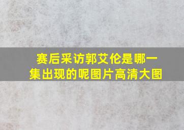 赛后采访郭艾伦是哪一集出现的呢图片高清大图