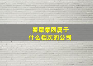 赛摩集团属于什么档次的公司