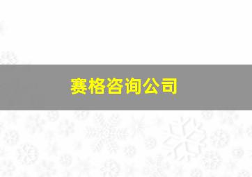 赛格咨询公司