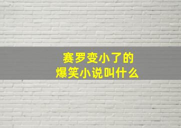 赛罗变小了的爆笑小说叫什么