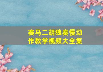 赛马二胡独奏慢动作教学视频大全集