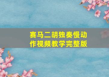 赛马二胡独奏慢动作视频教学完整版