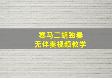 赛马二胡独奏无伴奏视频教学