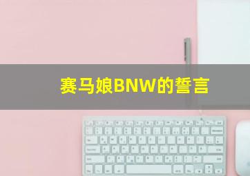 赛马娘BNW的誓言