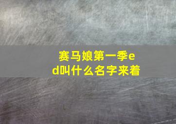 赛马娘第一季ed叫什么名字来着