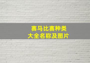 赛马比赛种类大全名称及图片