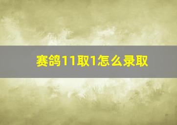 赛鸽11取1怎么录取