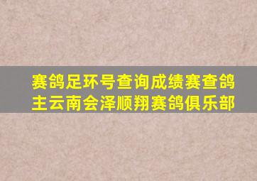 赛鸽足环号查询成绩赛查鸽主云南会泽顺翔赛鸽俱乐部