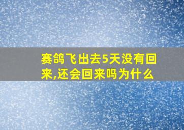 赛鸽飞出去5天没有回来,还会回来吗为什么