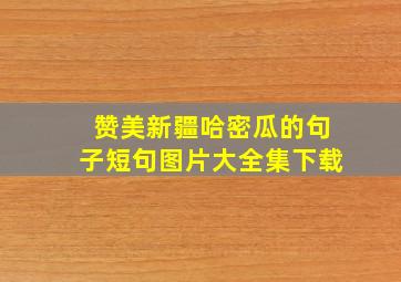 赞美新疆哈密瓜的句子短句图片大全集下载