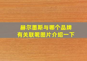 赫尔墨斯与哪个品牌有关联呢图片介绍一下