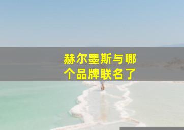 赫尔墨斯与哪个品牌联名了