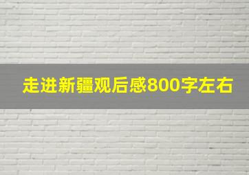 走进新疆观后感800字左右