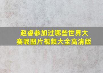 赵睿参加过哪些世界大赛呢图片视频大全高清版