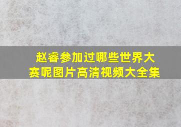 赵睿参加过哪些世界大赛呢图片高清视频大全集