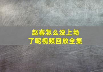 赵睿怎么没上场了呢视频回放全集