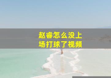 赵睿怎么没上场打球了视频