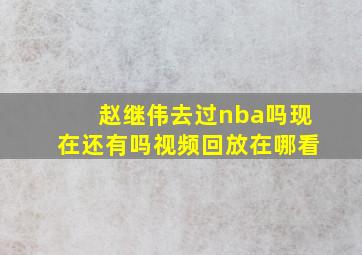 赵继伟去过nba吗现在还有吗视频回放在哪看