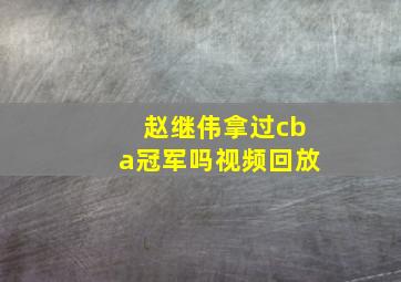 赵继伟拿过cba冠军吗视频回放