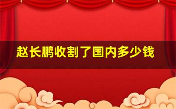 赵长鹏收割了国内多少钱