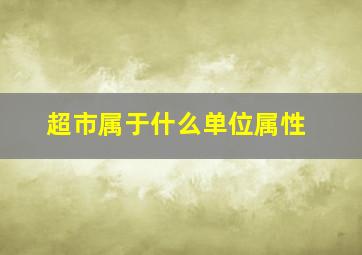 超市属于什么单位属性