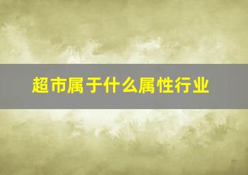 超市属于什么属性行业