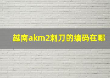 越南akm2刺刀的编码在哪