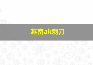 越南ak刺刀