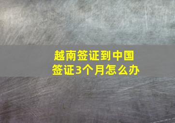 越南签证到中国签证3个月怎么办