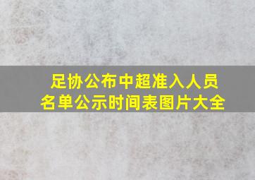 足协公布中超准入人员名单公示时间表图片大全