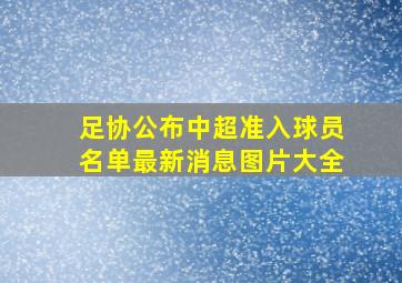 足协公布中超准入球员名单最新消息图片大全