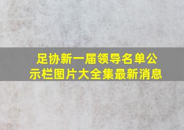 足协新一届领导名单公示栏图片大全集最新消息