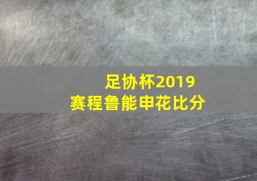 足协杯2019赛程鲁能申花比分